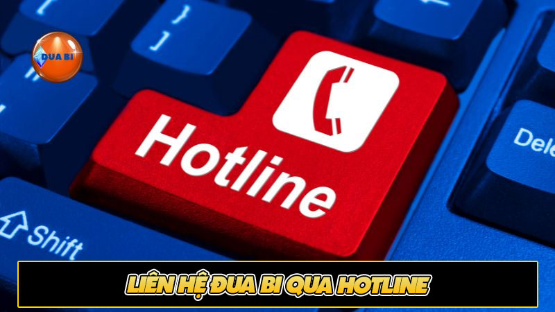 Liên hệ đua bi qua Hotline